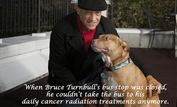 Bruce Turnbull
